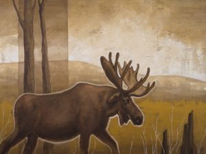 Grand sage de la forêt, j'écoute le silence et hume l'air pure. Je me meus dans l'eau avec l'agilité d'un poisson. Mon corps massif a la souplesse du chat. Dans les sous-bois, je deviens ombre...